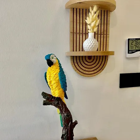 Washington, In The Center Of Fethiye, By Sea