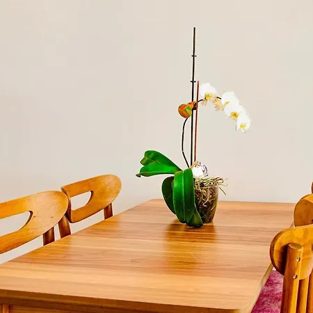 Daire Washington, In The Center Of Fethiye, By Sea *