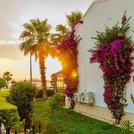 Washington, In The Center Of Fethiye, By Sea Daire *